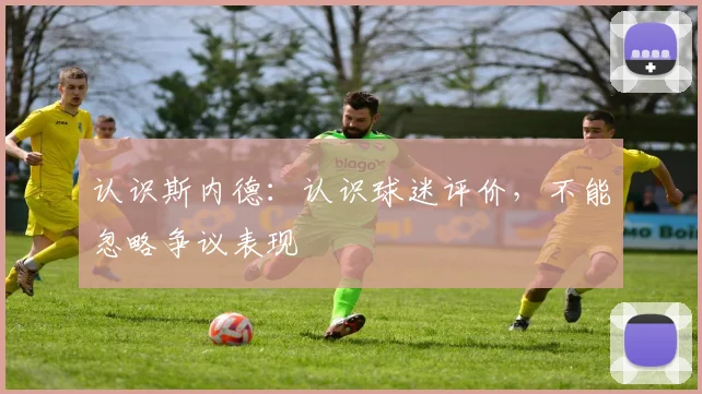 认识斯内德：认识球迷评价，不能忽略争议表现