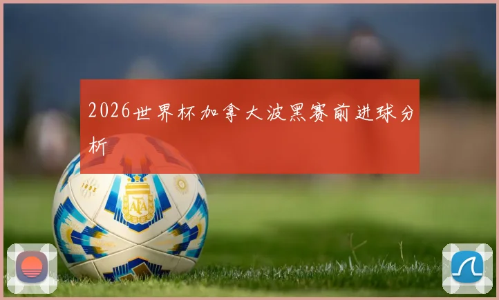 2026世界杯加拿大波黑赛前进球分析