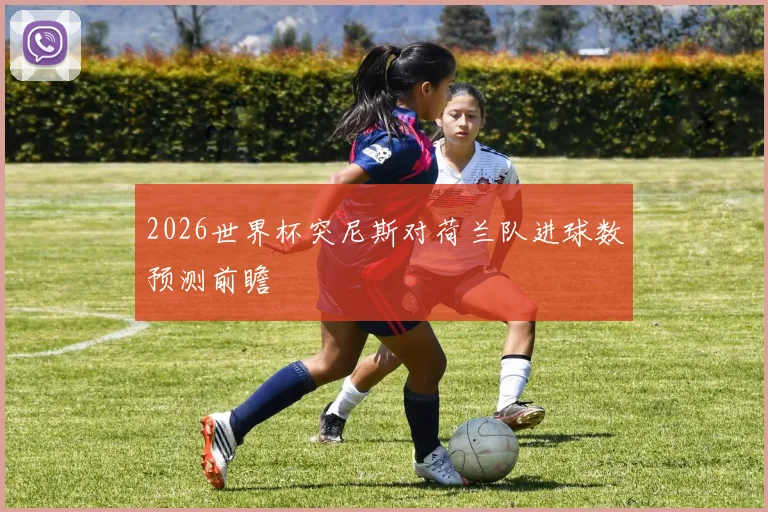 2026世界杯突尼斯对荷兰队进球数预测前瞻