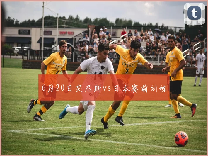 6月20日突尼斯vs日本赛前训练